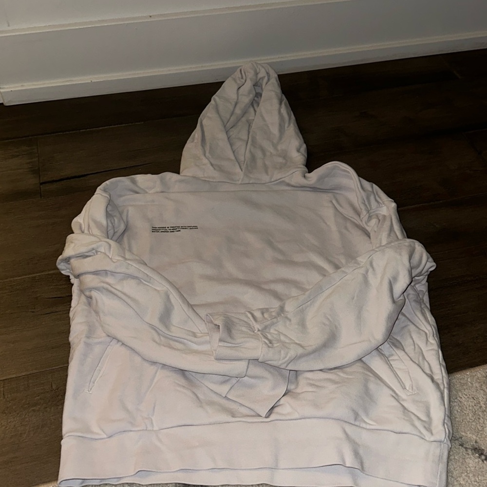 Pangaia hoodie